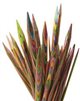 Ponožkové ihlice KnitPro Symfonie Wood 15cm